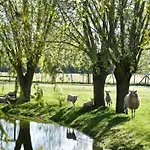 In With Stunning Sea View Apartment Nieuwpoort