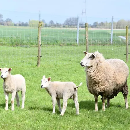 In With Stunning Sea View Daire