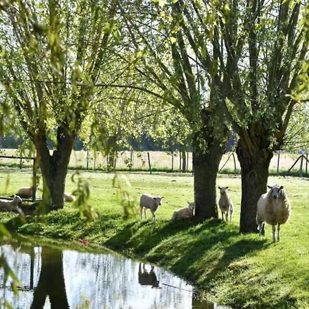 In With Stunning Sea View Daire Nieuwpoort